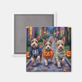 Biewer Terrier Trick-or-Treating Halloween kostuum Magneet (Voorkant / Achterkant)