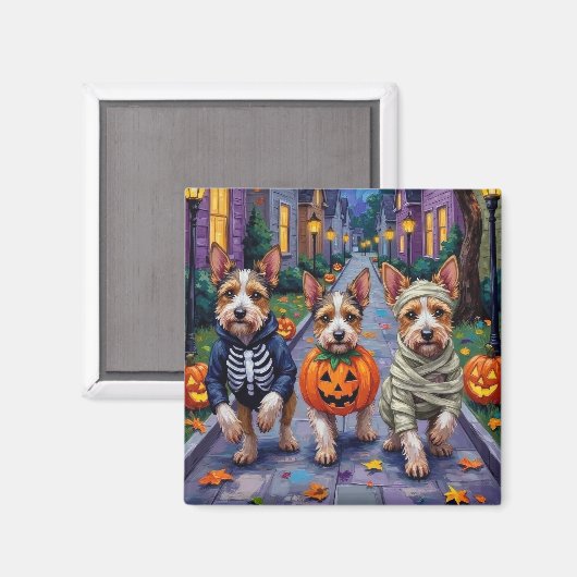 Biewer Terrier Trick-or-Treating Halloween kostuum Magneet (Voorkant / Achterkant)
