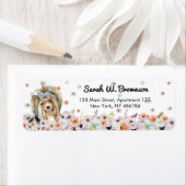 Biewer Terrier Yorkshire Silky Etiket (Insitu)