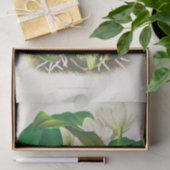 Bifrenaria Harrisoniae (Orchid) van Jean Linden Tissuepapier (Geschenk)