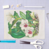 Bifrenaria Harrisoniae (Orchid) van Jean Linden Tissuepapier (Craft)