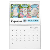 Big 3 Signs as Cats in de tuin 2023 kalender (Feb 2027)