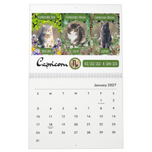 Big 3 Signs as Cats in de tuin 2023 kalender (Jan 2027)