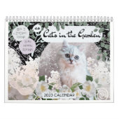 Big 3 Signs as Cats in de tuin 2023 kalender (Hoes)