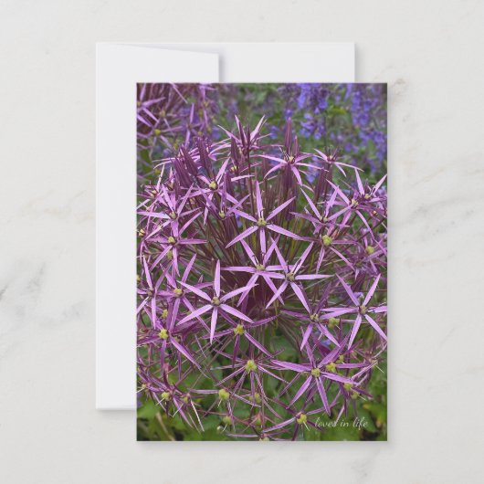 Big Allium Head Notitiekaartje (Voorkant)