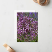 Big Allium Head Notitiekaartje (Voorkant / Achterkant in situ)
