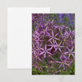 Big Allium Head Notitiekaartje (Voorkant / Achterkant)