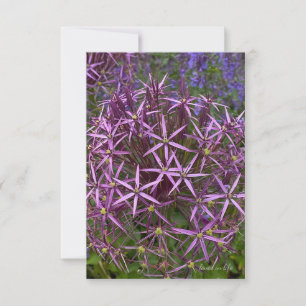Big Allium Head Notitiekaartje
