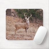 Big and Beautiful Buck Deer Antlers in Winter Muismat (Met muis)