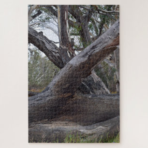 Big Australian Gum Tree Logs Legpuzzel