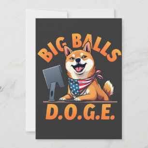 Big Balls Doge Department of Government Efficiency Aankondiging