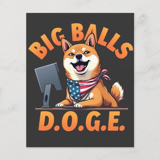 Big Balls Doge Department of Government Efficiency Flyer (Voorkant)