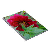 Big Bashful Bourgogne Notitieboek (Rechterzijde)