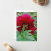 Big Bashful Bourgogne Notitiekaartje (Voorkant / Achterkant in situ)