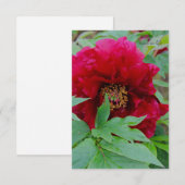 Big Bashful Bourgogne Notitiekaartje (Voorkant / Achterkant)