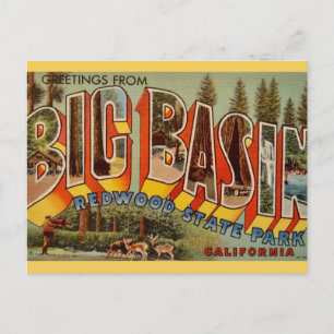 Big Basin Redwood Park Ansichtkaart Briefkaart
