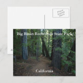 Big Basin Redwood State... Briefkaart (Voorkant / Achterkant)