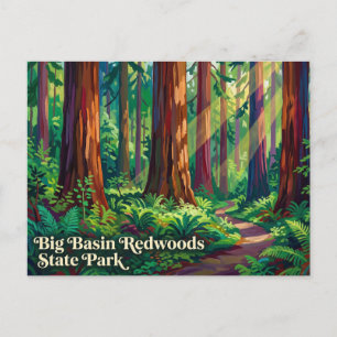 Big Basin Redwoods State Park Californië Briefkaart