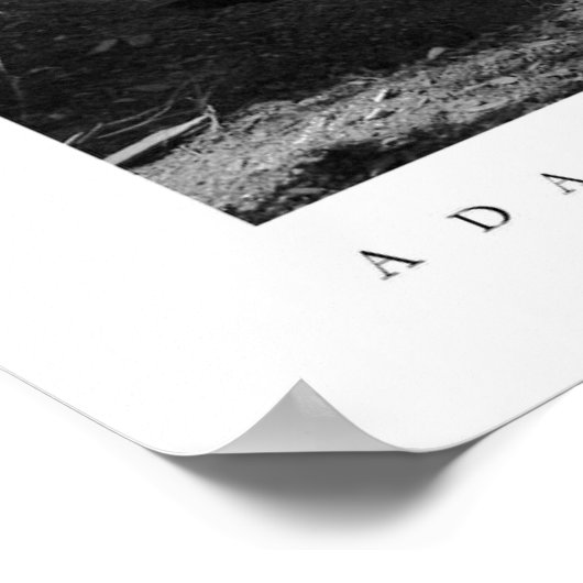 Big Basin Redwoods State Park Poster (Hoek)