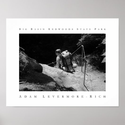 Big Basin Redwoods State Park Poster (Voorkant)