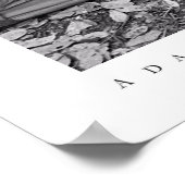 Big Basin Redwoods State Park Poster (Hoek)