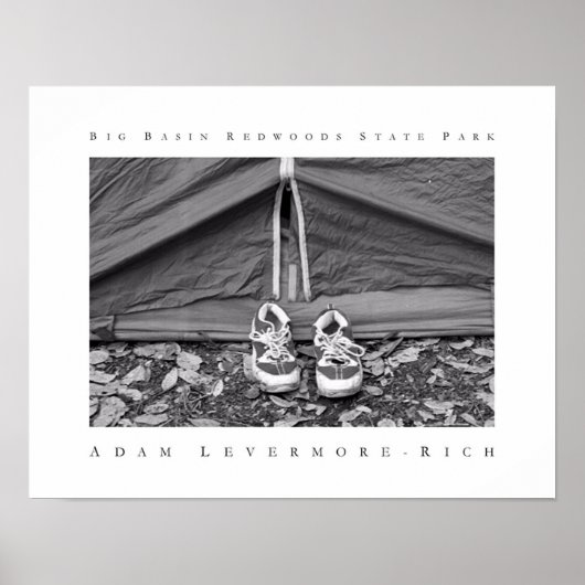 Big Basin Redwoods State Park Poster (Voorkant)