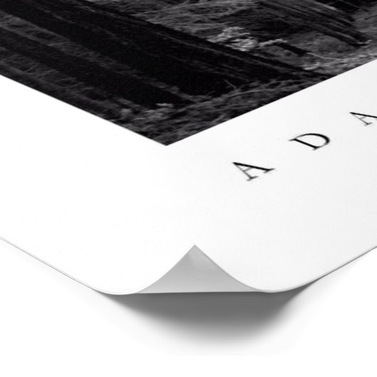 Big Basin Redwoods State Park Poster (Hoek)