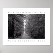 Big Basin Redwoods State Park Poster (Voorkant)