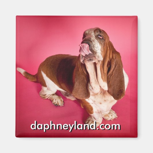 Big Basset Kiss Magnet (Voorkant)