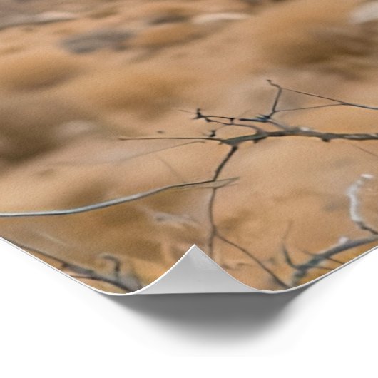 Big Beautiful Bird Poster (Hoek)