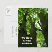 Big Beech Trees Summer Forest Moving Aankondigingskaart (Voorkant / Achterkant)