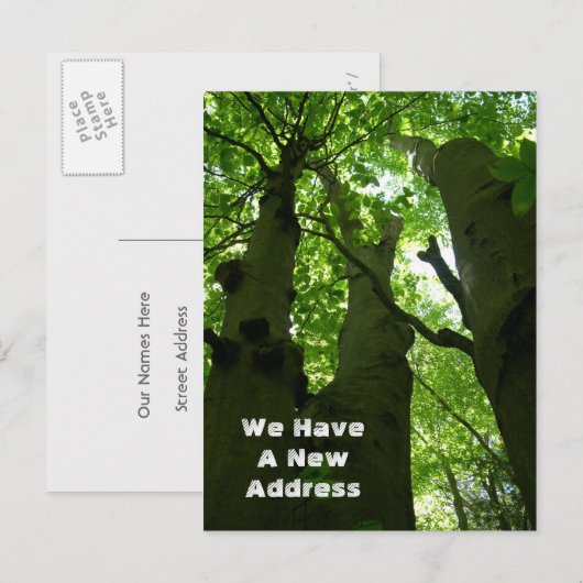 Big Beech Trees Summer Forest Moving Aankondigingskaart (Voorkant / Achterkant)