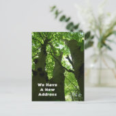 Big Beech Trees Summer Forest Moving Aankondigingskaart (Staand voorkant)