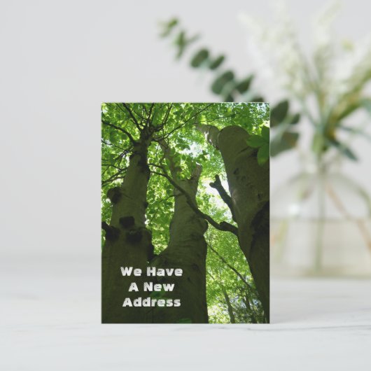 Big Beech Trees Summer Forest Moving Aankondigingskaart (Staand voorkant)