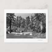 Big Beer Lake, CA in het Winter Snow Uitzicht Briefkaart (Voorkant)