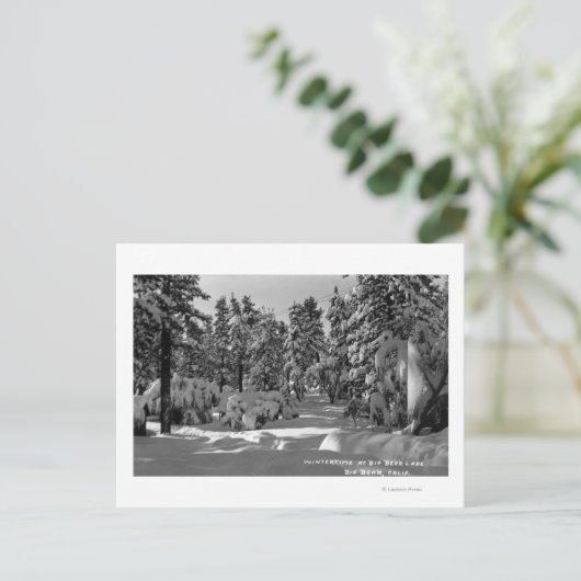 Big Beer Lake, CA in het Winter Snow Uitzicht Briefkaart (Staand voorkant)