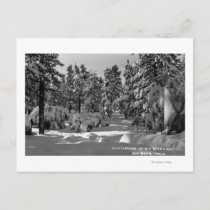 Big Beer Lake, CA in het Winter Snow Uitzicht Briefkaart