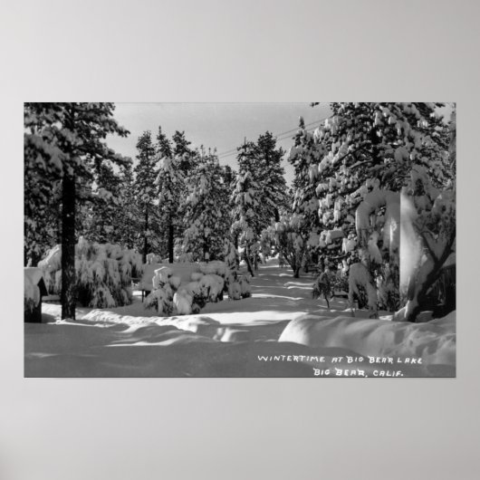 Big Beer Lake, CA in het Winter Snow Uitzicht Poster (Voorkant)