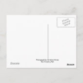 Big Beer Lake, Californië Briefkaart (Achterkant)