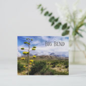 Big Bend Landscape, Century Plant Blossom, TX Briefkaart (Staand voorkant)