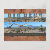 BIG BEND NAT'L PARK-Texas-Fossil Discovery Exhibit Briefkaart (Voorkant)