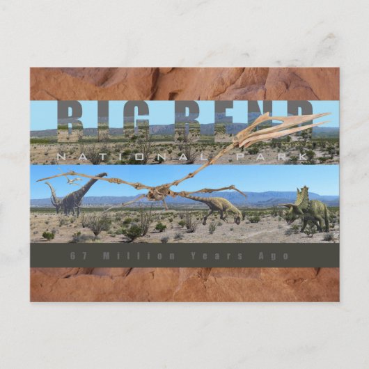 BIG BEND NAT'L PARK-Texas-Fossil Discovery Exhibit Briefkaart (Voorkant)