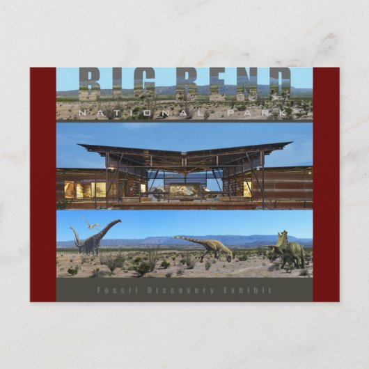 BIG BEND NAT'L PARK-Texas-Fossil Exhibit- Briefkaart (Voorkant)