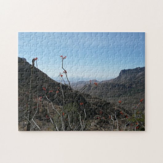 Big Bend Park, Texas/Mountains Legpuzzel (Horizontaal)
