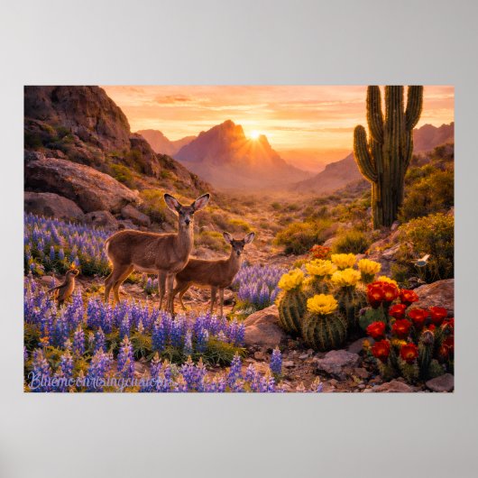 Big Bend Poster (Voorkant)