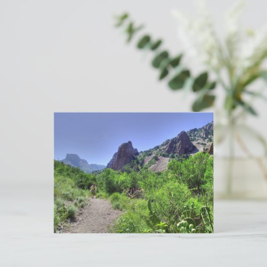 Big Bend-postkaart Briefkaart (Staand voorkant)