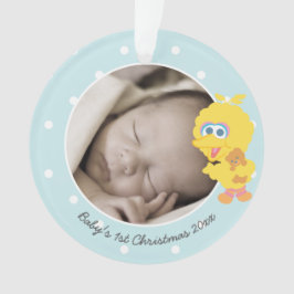 Big Bird | Eerste Kerstmis baby - Jouw naam toevoe Ornament