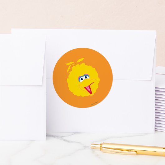 Big Bird Face Ronde Sticker