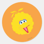 Big Bird Face Ronde Sticker (Voorkant)
