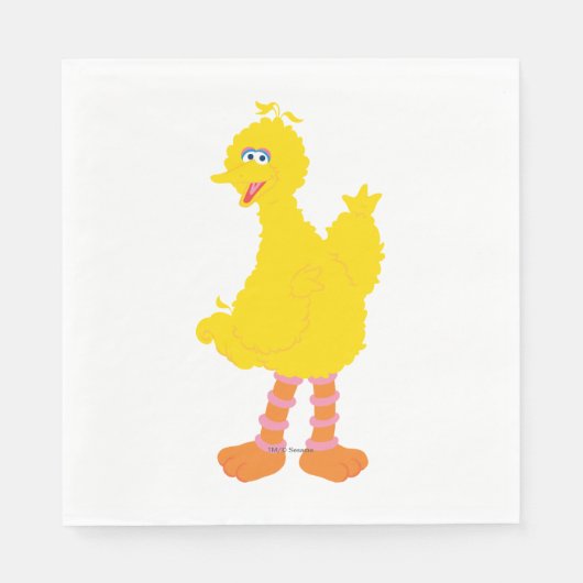 Big Bird Graphic Servet (Voorkant)